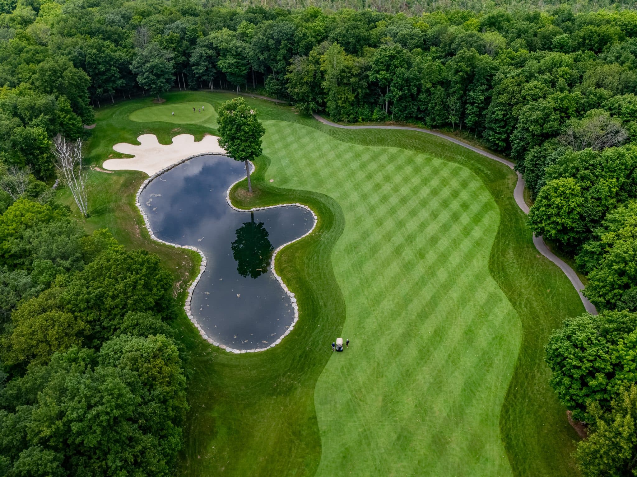 Trillium Wood Golf Club